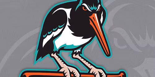 Chesapeake Baysox at Erie SeaWolves at UPMC Park