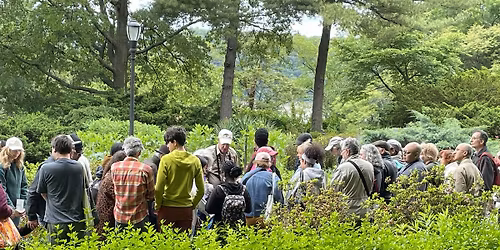 Guided Nature and Wildlife Walk with Ken Chaya