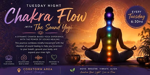 The Sound Yogi Healing Experience