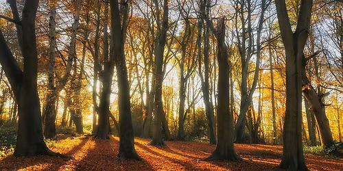 Nature Poetry Workshop - Nature Discovery Centre, Saturday 15 November