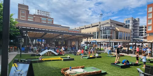 Mini Golf on the Lawn