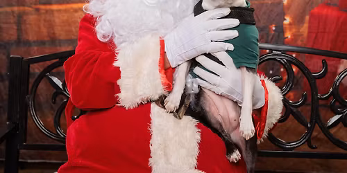 Picture Your Pet With Santa at Middletown Feeders Pet Supply