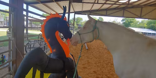 Obstacle Challenge Series - now #2