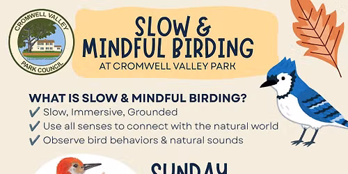 Slow and Mindful Bird Walk - Accessibility Options