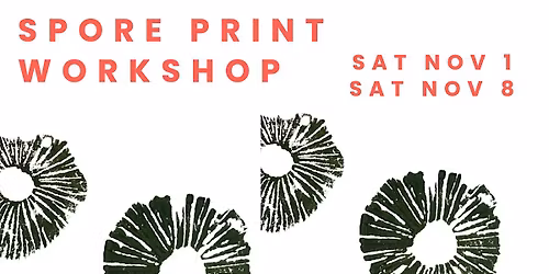 Clay Spore Print Workshop