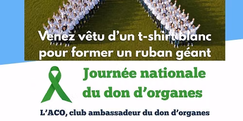 Ruban g\u00e9ant pour la journ\u00e9e du don d'organes