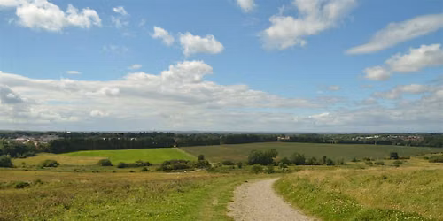 Weetslade summer trail