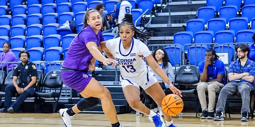 Parking Georgia State Panthers at James Madison Dukes Womens Basketball