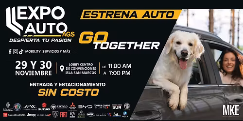 EXPO AUTO AGS
