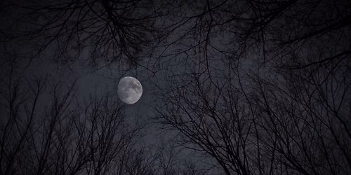 Full Moon Hike
