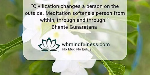A Day of Mindfulness Practice
