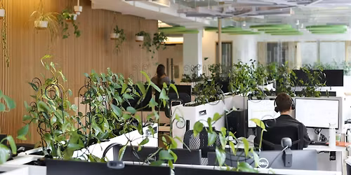 Living Acoustics: Design Healthier Spaces through Soundscaping and Nature
