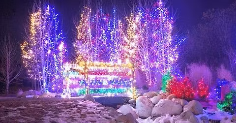 Christmas Yoga, Gong bath and hot choc 