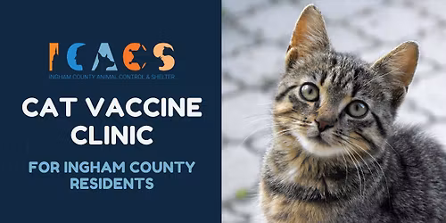 Cat Vaccine Clinic at Shelter