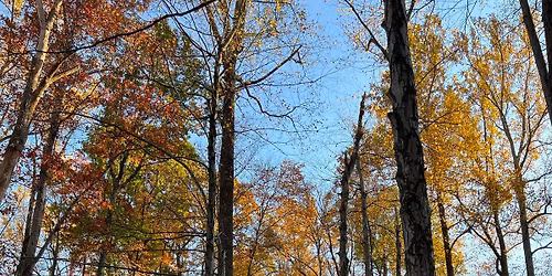 NJ Audubon: Morning Walk at Scherman Hoffman Wildlife Sanctuary