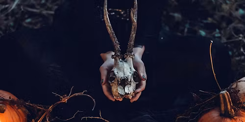 The Properties of Bones