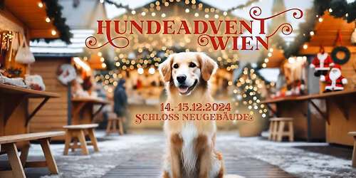 Paracord- bene beim Hundeadvent
