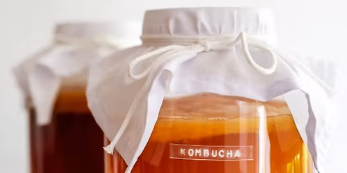 Kombucha for Beginners with Megan