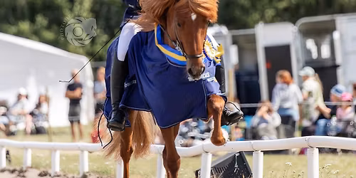 Tr\u00e4ning f\u00f6r \u201dStjani\u201d 