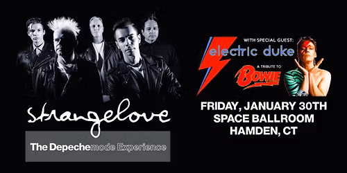 Strangelove: The Depeche Mode Experience