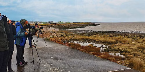 Seawatch - Heysham