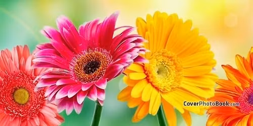 Spring Blossom Craft & Vendor Show 