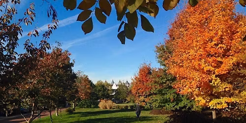 Crispus Fall Festival