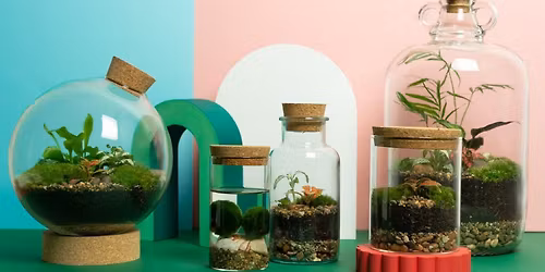 Workshop: Terrarium Making