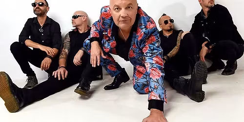 CHOCOLATE STARFISH | One Night Only!