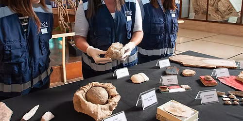 El rol de la ADUANA y el INAPL en la protecci\u00f3n de los bienes culturales