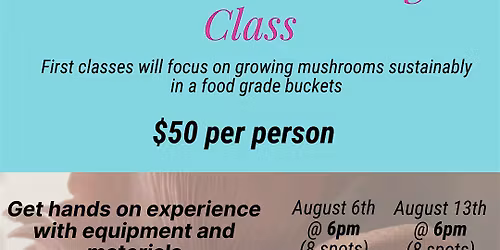 Mushroom Growing Class Series: Sustainable Bucket Technique