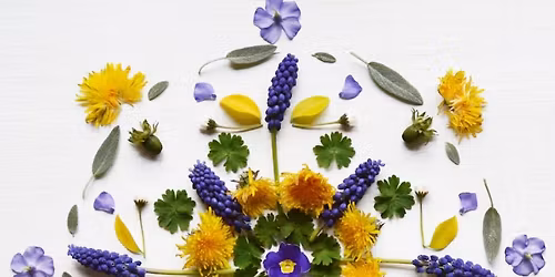 Seasons of Yoga Workshop: Mindful Movement through the Seasons: Summer