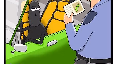 Responsible Vendor Certification Class