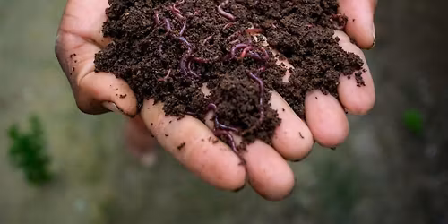 The Home of Rot n\u2019 Roll: Composting in Cleveland