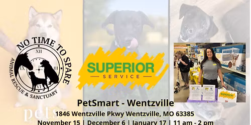 Paw-Some Adoption Event