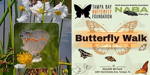 Butterfly Walk - May