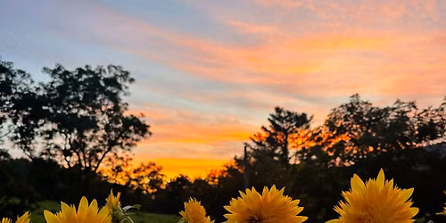 Paint & Pick at Dandelion Ridge Flower Farm