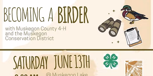 Becoming A Birder 