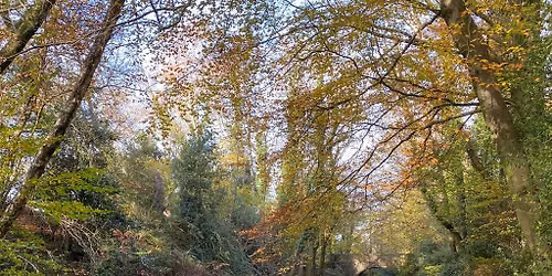 Chepstow Autumn Walking Festival
