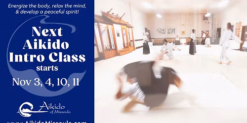November Aikido Intro Class for Adults