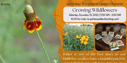 Growing Wildflowers Workshop