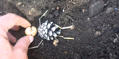 Halloween Bulb Planting at Alexandra Park