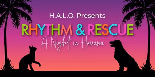 Rhythm & Rescue: A Night in Havana