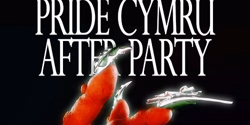 OVAH. Pres PRIDE CYMRU AFTERPARTY