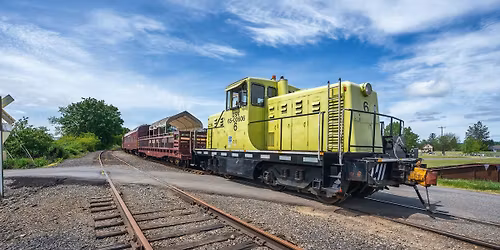BINGO Train