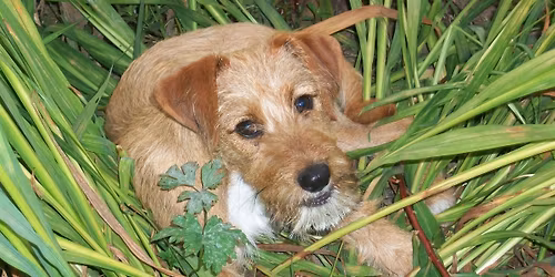 Mediumship Group , Share and Connect