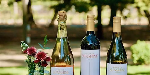 Women in Wine- Wine Tasting Series at The Rabbit Hole