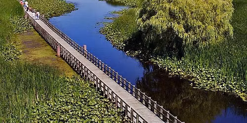 Point Pelee National Park