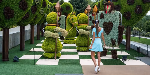 Parking Alice in Wonderland - Phoenix