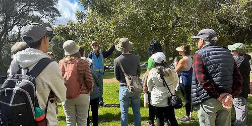 Guided Walk: Botany
